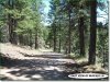 2.6 Acres of Oregon Land for Sale