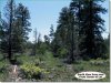 2.3 Acres of Oregon Land for Sale
