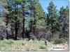 Oregon Land