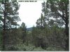 1.5 Acres of Oregon Land for Sale