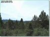 1.50 Acres of Oregon Land for Sale