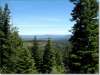 21.18 Acres of Oregon Land for Sale