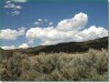 5.6 Acres Colorado Land