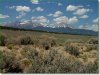 Colorado Land for Sale, 5.0 Acres