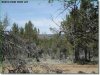 2.3 Acres Oregon Land