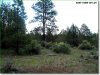 2.3 Acres of Oregon Land for Sale