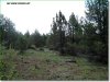 2.3 Acres of Oregon Land for Sale