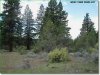 2.3 Acres Oregon Land