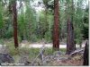 Oregon Land for Sale, 3.11 Acres