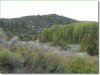 5 Acres Colorado Land