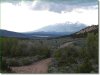 Colorado Land for Sale, 5 Acres