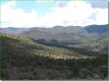 Colorado Land, 5 Acres