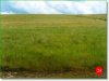 20.0 Acres of Cheap Montana Land for Sale