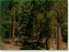 Oregon Land for Sale, 3.04 Acres