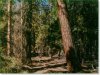 Oregon Land for Sale