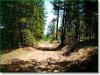 Oregon Land