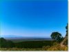 5 Acres of Colorado Land for Sale
