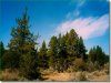 2.3 Acres Oregon Land