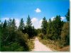 Oregon Land, 3.66 Acres