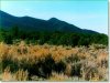 Colorado Land for Sale