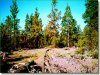 Oregon Land Auction 3.7 Acres Oregon Land