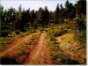 Oregon Land, 5.80 Acres