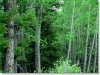 5.1 Acres of Colorado Land for Sale