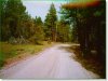 2.65 Acres of Oregon Land for Sale