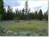 9.4 Acres Oregon Land