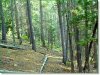 Land for Sale in Colorado, 4.390 Acres 4.390 Acres Colorado Land