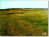 20.09 Acres of Cheap Montana Land for Sale