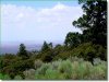 Colorado Land