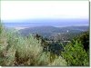 Colorado Land for Sale, 11.785 Acres