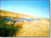 35 Acres of Colorado Land for Sale
