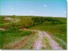 South Dakota Land for Sale, 40 Acres
