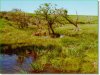 120.0 Acres, Cheap South Dakota Land for Sale