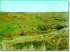 40.0 Acres, Cheap South Dakota Land for Sale