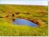 South Dakota Land
