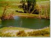 South Dakota Land, 40 Acres