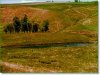 40.0 Acres of Cheap South Dakota Land