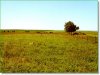 40.0 Acres of Cheap South Dakota Land