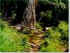 40.0 Acres of Cheap South Dakota Land for Sale