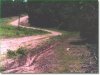 11.0 Acres of Cheap Missouri Land