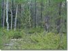 1.147 Acres Colorado Land