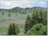 Picture of Land for Sale