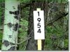 Colorado Land, 1.899 Acres