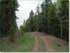 Colorado Land for Sale