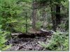 Colorado Land, 1.387 Acres