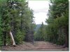 Colorado Land for Sale, 1.387 Acres