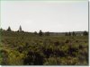 3.59 Acres Oregon Land
